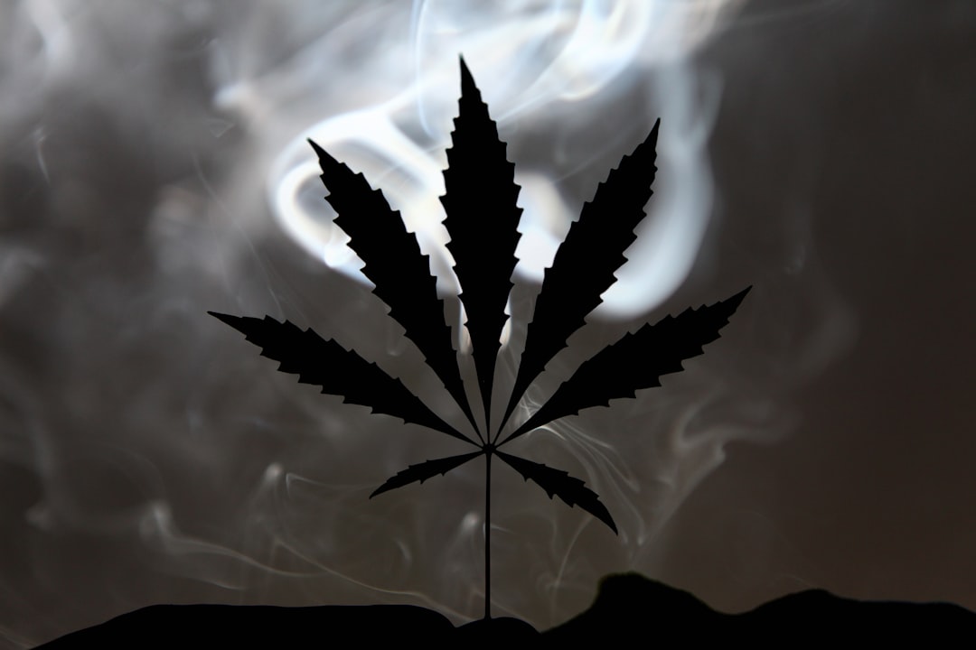 a-marijuana-leaf-in-front-of-a-cloudy-sky-2o3g5injwbm