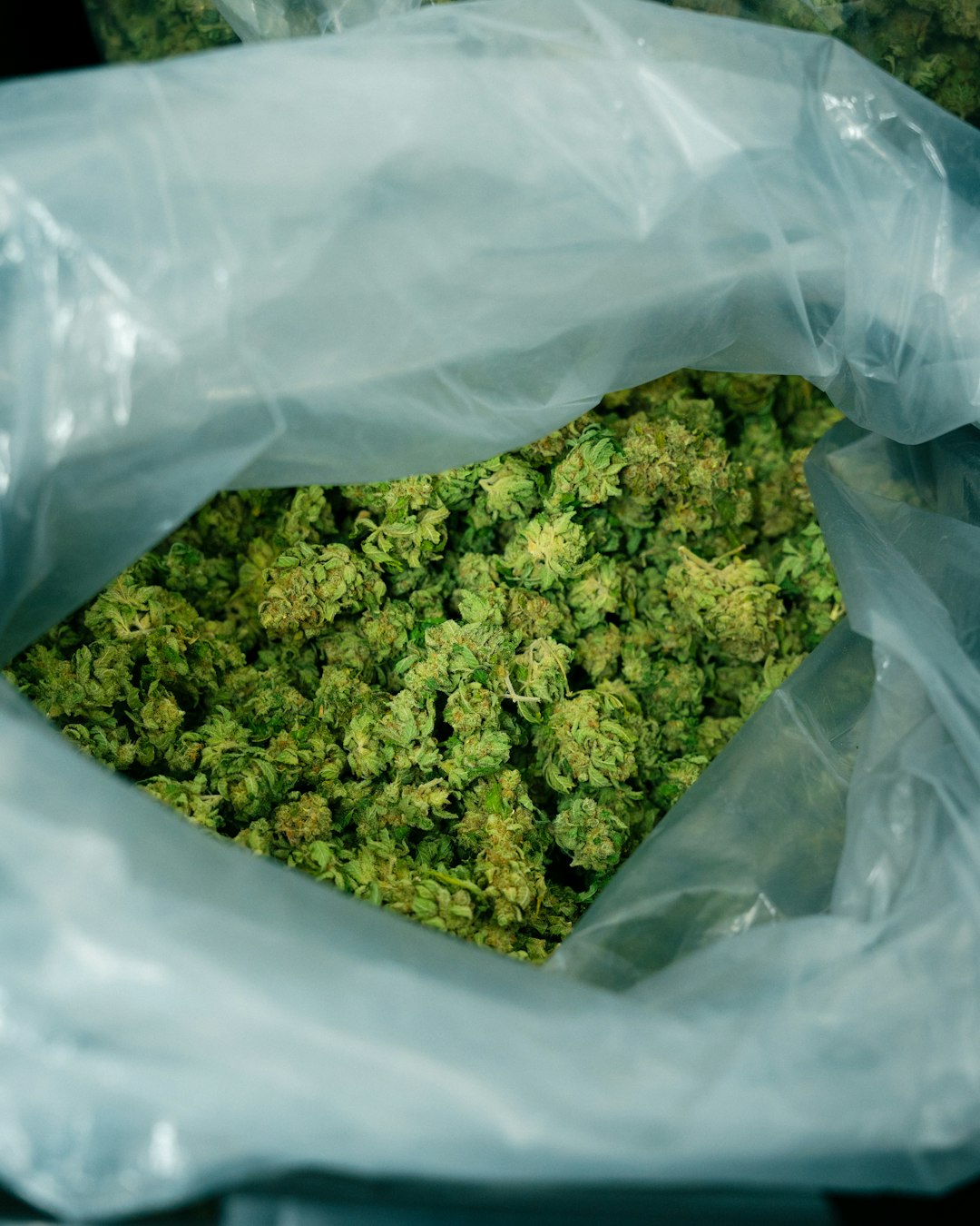 bag-of-cannabis-gjacebxifho